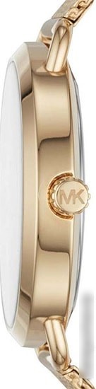 Наручные часы Michael Kors MK3844