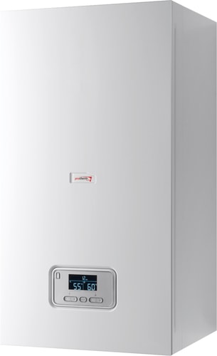 Отопительный котел Protherm Ray (Скат) 14 KE /14 0010023649