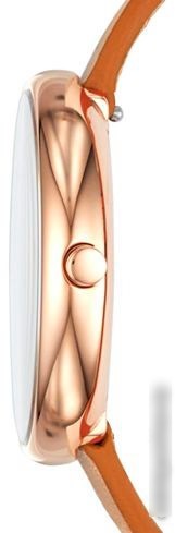 Наручные часы Skagen SKW2624