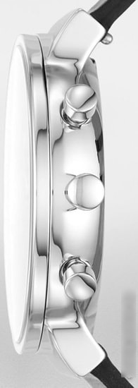 Наручные часы Skagen SKW6417