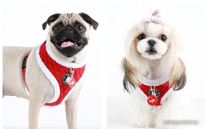 Шлейка Puppia Blitzen-A PAQD-AC1470-RD-XL (красный)