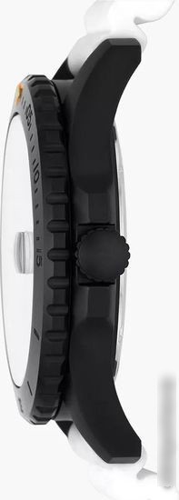 Наручные часы Fossil Blue Dive FS5999