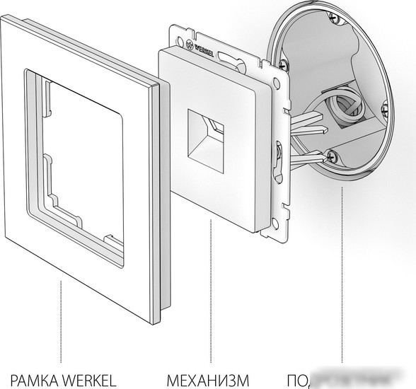 Розетка компьютерная Werkel W1181011 a050873