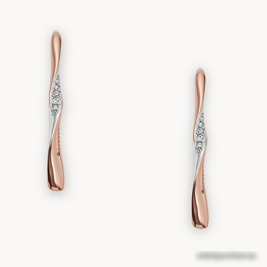Серьги Skagen SKJ1587998