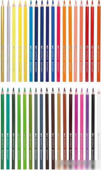 Набор цветных карандашей BRAUBERG Premium aquarelle 181674 (36 шт.)