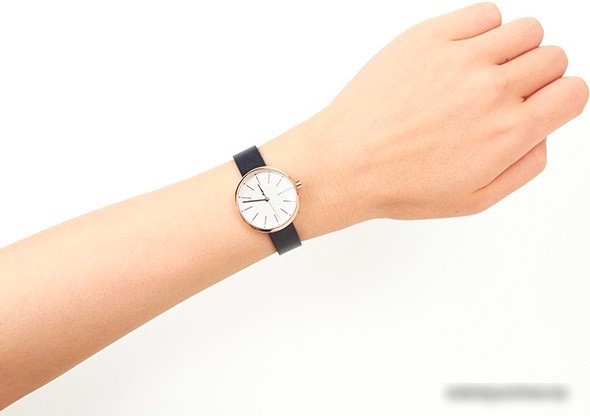 Наручные часы Skagen SKW2592