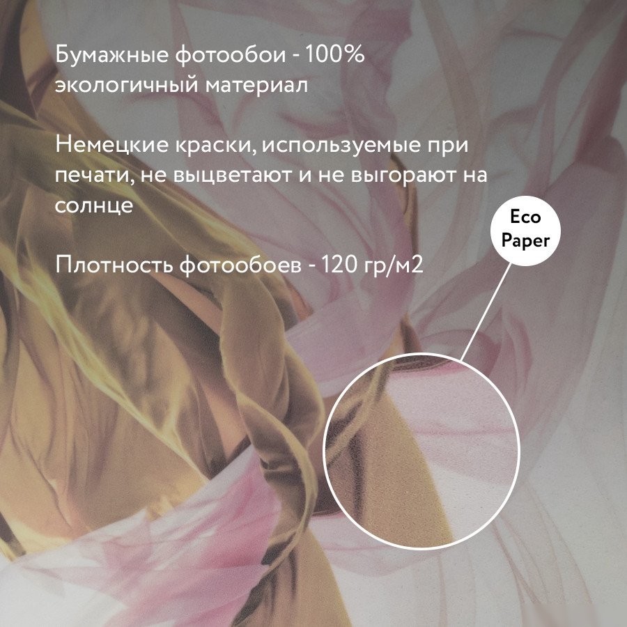 Фотообои Citydecor Пальмовые листья 546x265 светло-серый