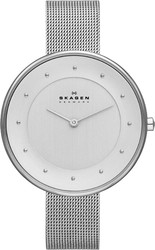 Наручные часы Skagen SKW2140
