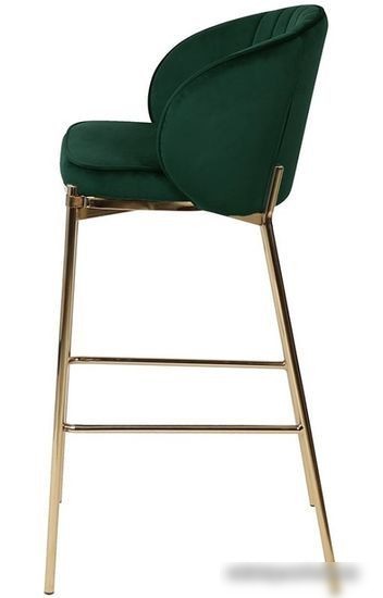 Стул Bergenson Bjorn Coral BEBA-CO10888 (темно-зеленый)