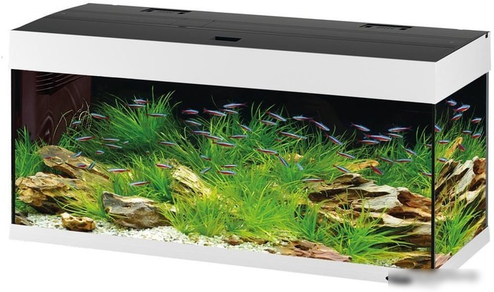 Аквариум Ferplast Dubai 100 led 240 л (белый)