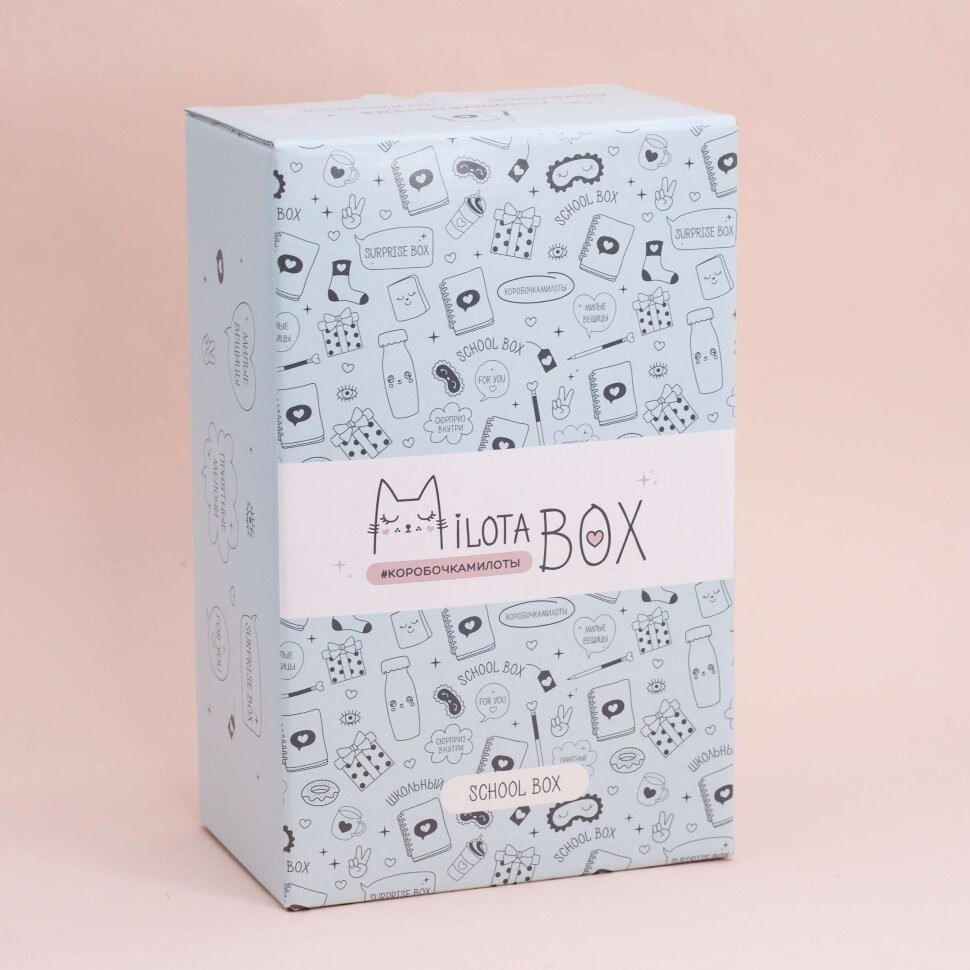 Подарочный набор Milota Box School Mini MBS019