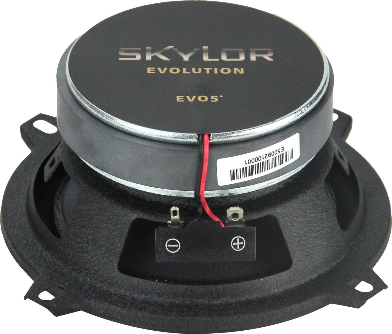 Коаксиальная АС Skylor EVO5