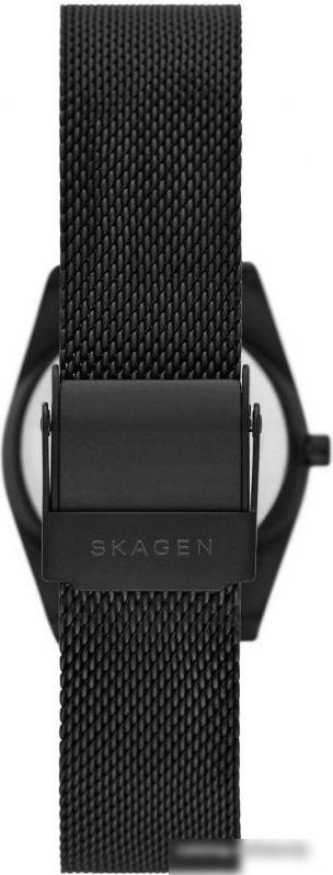 Наручные часы Skagen Grenen Lille SKW3088