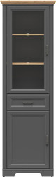 Шкаф-витрина BRW Jasmin REG1W1D1S (графит/дуб артизан)