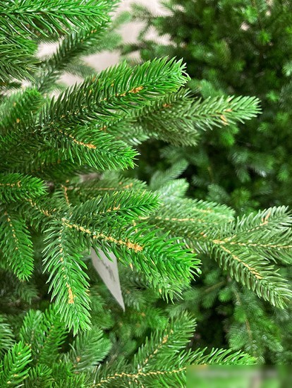 Ель GreenTerra Хаген Премиум 2.1 м