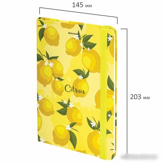 Ежедневник BRAUBERG Lemons 113727