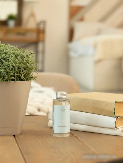 Жидкость для аромадиффузора Arida Home Hygge №21 Остров Борнео (100мл)