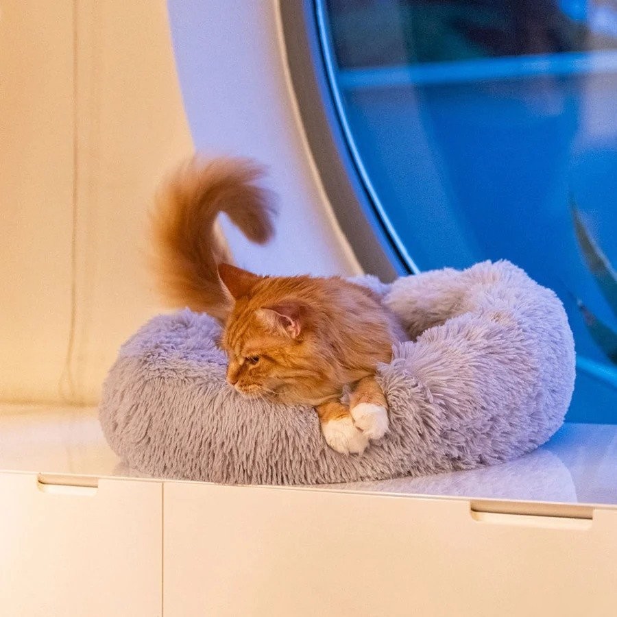 Лежак Ferplast Cuddly 60 83190621 (серый)