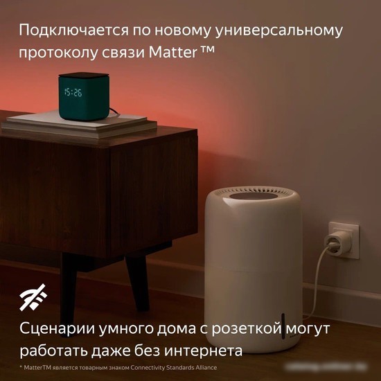 Умная розетка Яндекс YNDX-00540BLK (черный)