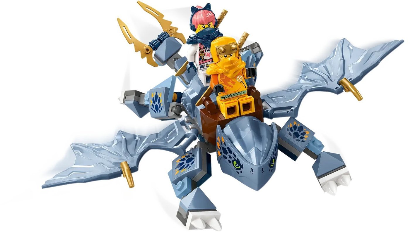 Конструктор LEGO Ninjago Молодой дракон Рию 71810