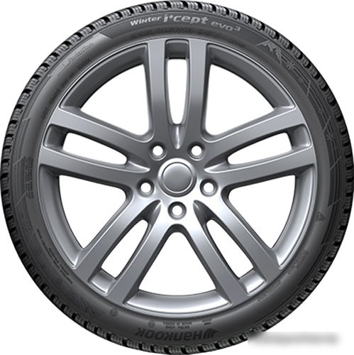 Автомобильные шины Hankook Winter i*cept evo3 W330 225/45R19 96V