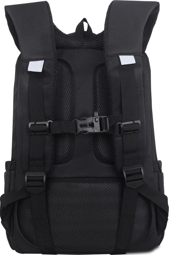 Школьный рюкзак Grizzly RG-666-3 (черный)