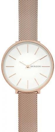 Наручные часы Skagen SKW2726