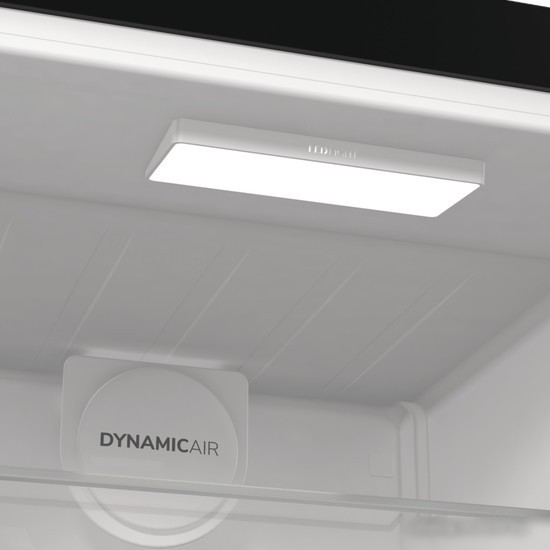 Однокамерный холодильник Gorenje R619EABK6