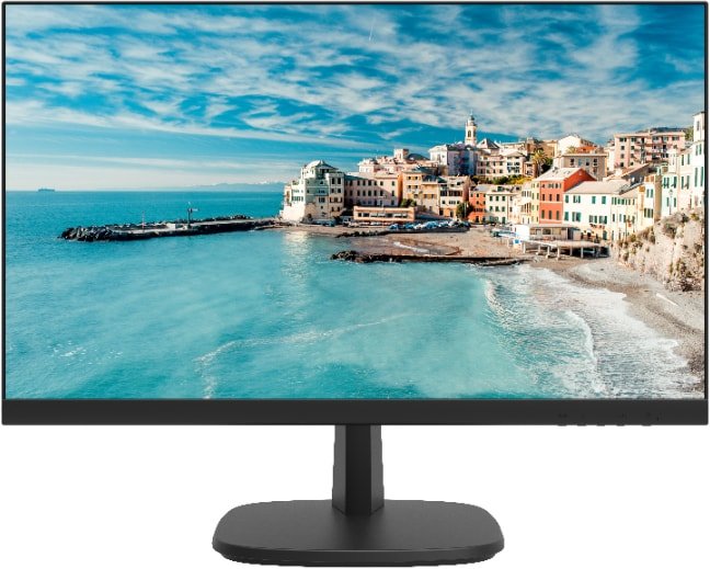 Монитор Hikvision DS-D5024FN