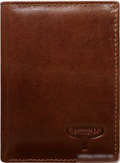 Портмоне Cedar Buffalo Wild N890-VTU (черный)
