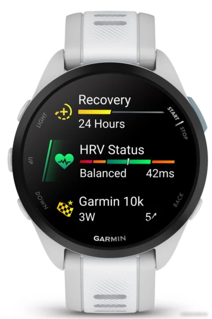 Умные часы Garmin Forerunner 165 (туманно-серый/белый камень)