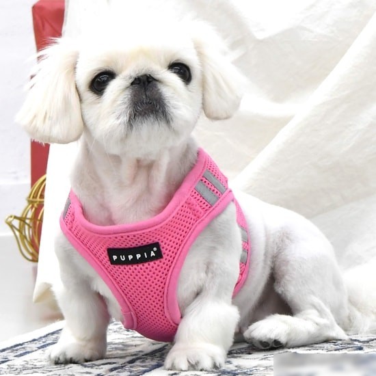 Шлейка-жилетка Puppia Soft PAUA-HB1828-PK-S (розовый)
