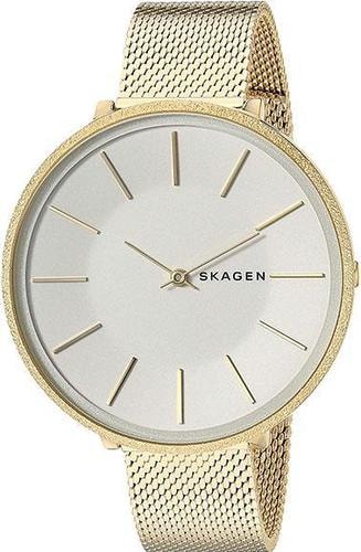 Наручные часы Skagen SKW2722