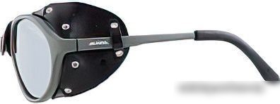 Солнцезащитные очки Alpina Sibiria CM A83163-27 (Tin/Black)