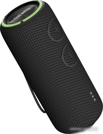 Беспроводная колонка Aiwa PAS-H300 (черный)