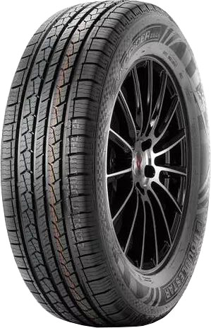 Летние шины DoubleStar DS01 245/70R16 107T
