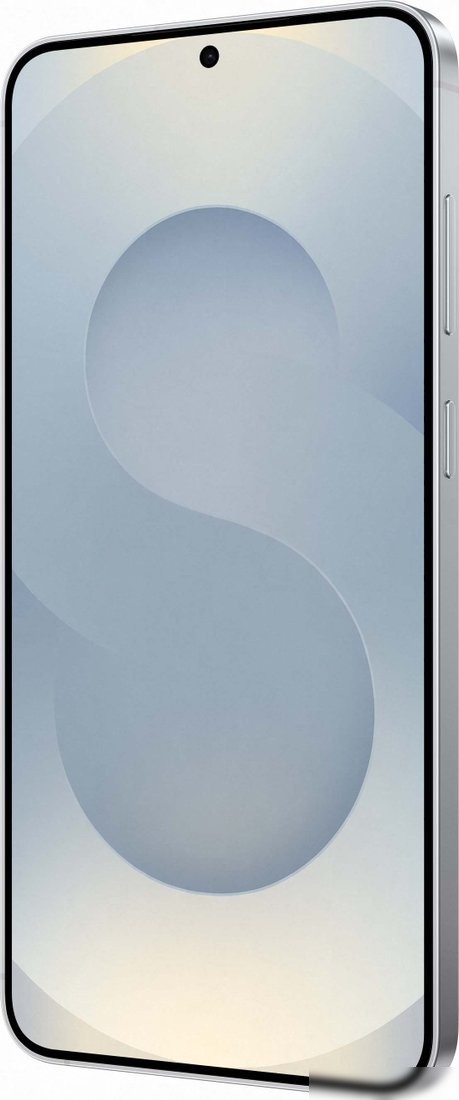 Телефон Samsung Galaxy S25+ SM-S936B 12GB/256GB (серый)