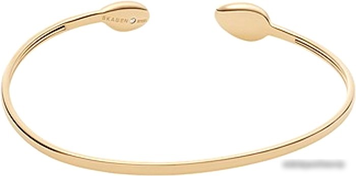 Браслет Skagen SKJ1556710