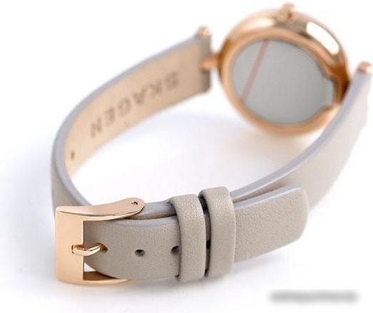 Наручные часы Skagen SKW2643