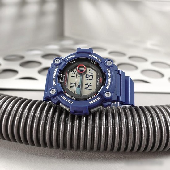 Наручные часы Casio WS-1300H-2A