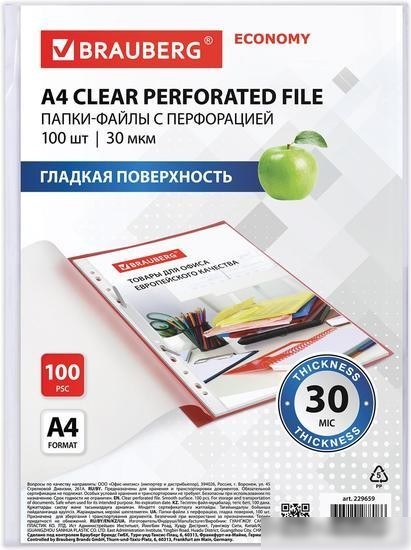 Набор файлов BRAUBERG ECONOMY 229659 (100 шт)