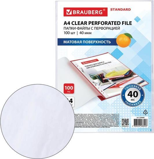 Набор файлов BRAUBERG STANDARD 229660 (100 шт)
