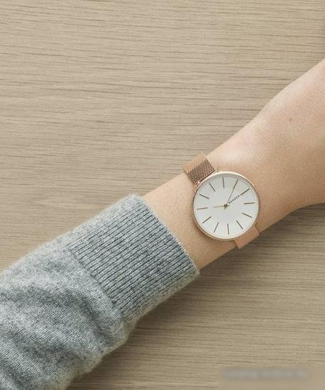 Наручные часы Skagen SKW2726