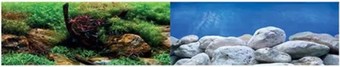 Фон Barbus Водный сад. Яркие камни Background 018 46 см х 124 см