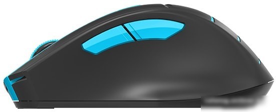 Мышь A4Tech Fstyler FG30S (черный/голубой)