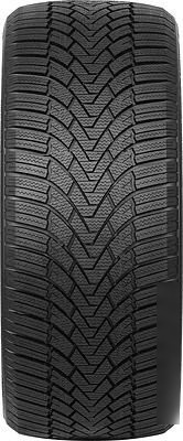 Зимние шины Arivo Winmaster ProX ARW3 195/55R16 91H