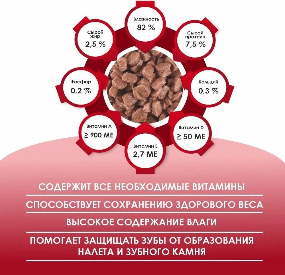 Консервированный корм для кошек Kissa С говядиной в соусе (28x75г)