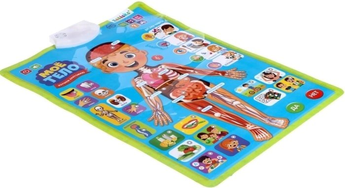 Развивающая игра Zabiaka Изучаем анатомию: Мое тело 5148294