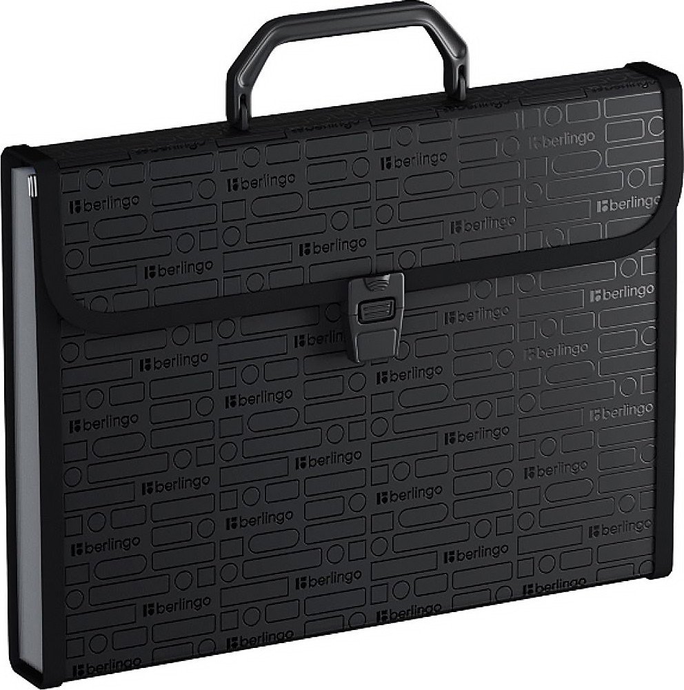 Папка-портфель Berlingo Your Way XF4_13891 (черный)