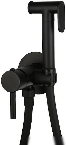 Гигиенический душ Roxen Santi 50094000-B